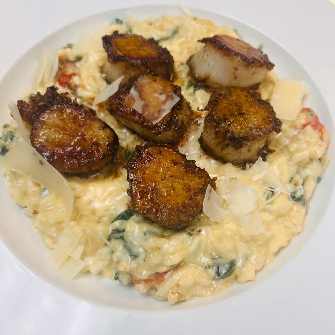 Parm Crusted Scallops Over Risotto.